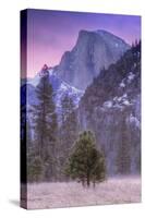 Before Dawn at Half Dome, Yosemite Valley-Vincent James-Stretched Canvas