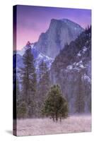 Before Dawn at Half Dome, Yosemite Valley-Vincent James-Stretched Canvas