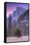 Before Dawn at Half Dome, Yosemite Valley-Vincent James-Framed Stretched Canvas