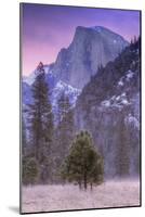 Before Dawn at Half Dome, Yosemite Valley-Vincent James-Mounted Photographic Print
