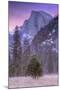 Before Dawn at Half Dome, Yosemite Valley-Vincent James-Mounted Photographic Print