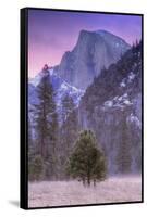 Before Dawn at Half Dome, Yosemite Valley-Vincent James-Framed Stretched Canvas