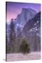 Before Dawn at Half Dome, Yosemite Valley-Vincent James-Stretched Canvas