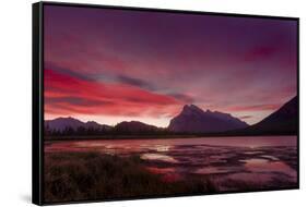 Before sunrise, Vermillion Lake, Banff National Park, UNESCO World Heritage Site, Canadian Rockies,-JIA JIAHE-Framed Stretched Canvas