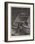 Before the Beak-S.t. Dadd-Framed Giclee Print