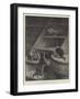 Before the Beak-S.t. Dadd-Framed Giclee Print