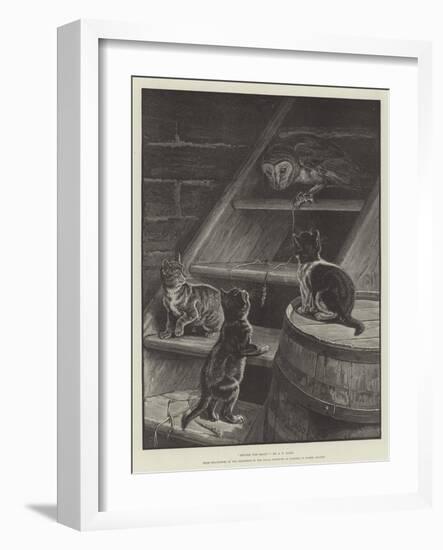 Before the Beak-S.t. Dadd-Framed Giclee Print