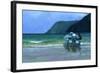 Before The Catch-Colin Bootman-Framed Giclee Print