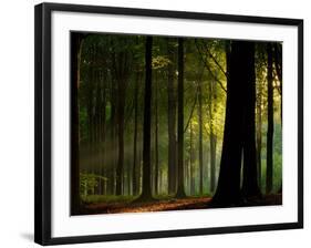 Before the Fall-Joris-Framed Photographic Print