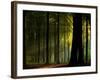 Before the Fall-Joris-Framed Photographic Print