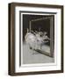 Before the Mirror-Ferdinand Von Reznicek-Framed Art Print