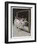 Before the Mirror-Ferdinand Von Reznicek-Framed Art Print