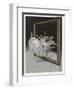 Before the Mirror-Ferdinand Von Reznicek-Framed Art Print