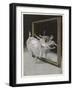 Before the Mirror-Ferdinand Von Reznicek-Framed Art Print