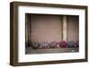 Before the Rain Came-Valda Bailey-Framed Photographic Print