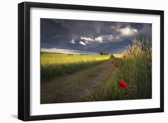 Before the Storm-Peter Lundqvist-Framed Art Print