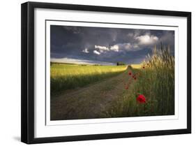 Before the Storm-Peter Lundqvist-Framed Art Print
