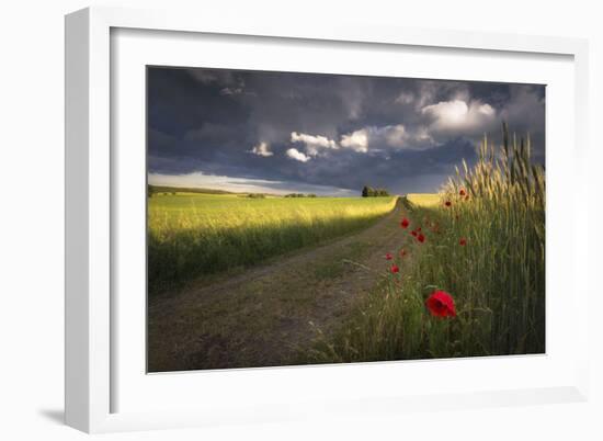 Before the Storm-Peter Lundqvist-Framed Art Print