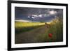 Before the Storm-Peter Lundqvist-Framed Art Print