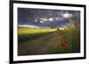 Before the Storm-Peter Lundqvist-Framed Giclee Print