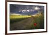 Before the Storm-Peter Lundqvist-Framed Giclee Print