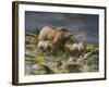 Before the Storm-Trevor V. Swanson-Framed Giclee Print