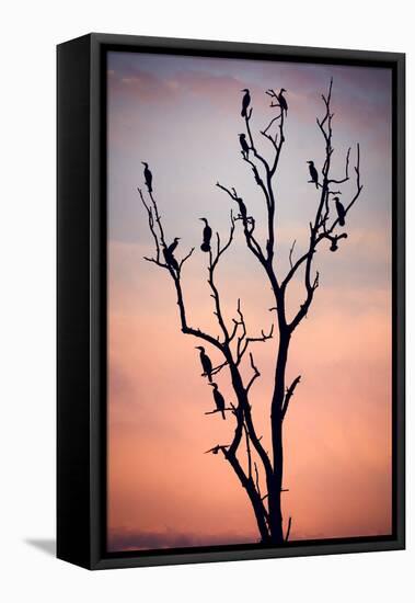 Before the Sunset-Niklas Rosenkilde-Framed Stretched Canvas