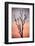 Before the Sunset-Niklas Rosenkilde-Framed Photographic Print