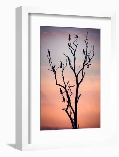 Before the Sunset-Niklas Rosenkilde-Framed Photographic Print