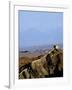 Beginning of the Great Wall, UNESCO World Heritage Site, Jiayuguan, Gansu, China-Porteous Rod-Framed Photographic Print