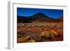 Beginning of the Tongariro Crossing, UNESCO World Heritage Site, North Island, New Zealand, Pacific-Laura Grier-Framed Photographic Print
