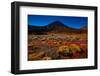 Beginning of the Tongariro Crossing, UNESCO World Heritage Site, North Island, New Zealand, Pacific-Laura Grier-Framed Photographic Print