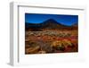 Beginning of the Tongariro Crossing, UNESCO World Heritage Site, North Island, New Zealand, Pacific-Laura Grier-Framed Photographic Print