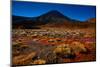 Beginning of the Tongariro Crossing, UNESCO World Heritage Site, North Island, New Zealand, Pacific-Laura Grier-Mounted Photographic Print