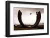 Beginning-Sharon Wish-Framed Photographic Print