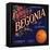 Begonia Brand - La Verne, California - Citrus Crate Label-Lantern Press-Framed Stretched Canvas