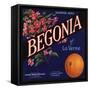 Begonia Brand - La Verne, California - Citrus Crate Label-Lantern Press-Framed Stretched Canvas