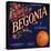 Begonia Brand - La Verne, California - Citrus Crate Label-Lantern Press-Stretched Canvas