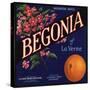 Begonia Brand - La Verne, California - Citrus Crate Label-Lantern Press-Stretched Canvas