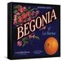 Begonia Brand - La Verne, California - Citrus Crate Label-Lantern Press-Framed Stretched Canvas