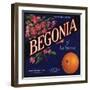 Begonia Brand - La Verne, California - Citrus Crate Label-Lantern Press-Framed Art Print