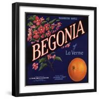 Begonia Brand - La Verne, California - Citrus Crate Label-Lantern Press-Framed Art Print