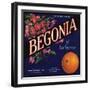 Begonia Brand - La Verne, California - Citrus Crate Label-Lantern Press-Framed Art Print