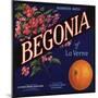 Begonia Brand - La Verne, California - Citrus Crate Label-Lantern Press-Mounted Art Print