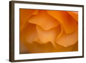 Begonia Glow II-Rita Crane-Framed Photographic Print