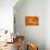 Begonia Glow II-Rita Crane-Stretched Canvas displayed on a wall