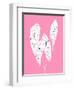 Begonia Maculata Pink-Francesco Gulina-Framed Photographic Print