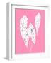 Begonia Maculata Pink-Francesco Gulina-Framed Photographic Print