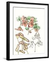 Begonia Study-Melissa Wang-Framed Art Print