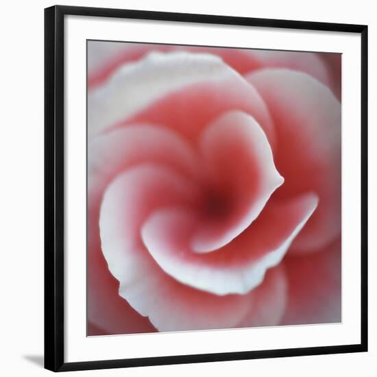 Begonia-Lotte Gronkjaer-Framed Giclee Print